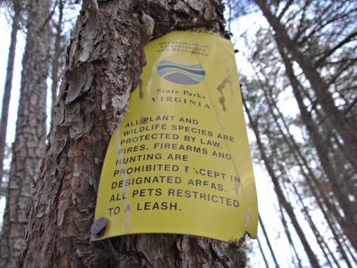 Tree Eat Sign